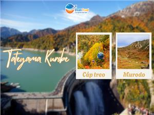 Trải Nghiệm Cáp Treo Ngắm Mùa Thu Trên Núi Tateyama